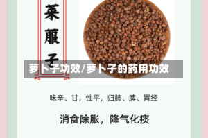 萝卜子功效/萝卜子的药用功效