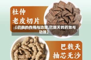 【巴戟的作用与功效,巴戟天的药效与功效】