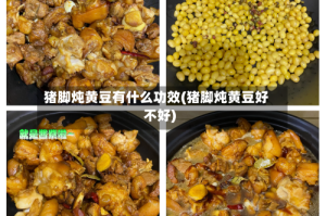 猪脚炖黄豆有什么功效(猪脚炖黄豆好不好)