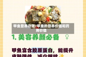 甲鱼营养功效/甲鱼的营养价值和药用价值