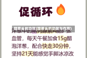 醋葱头的功效(醋葱头的功效与作用)