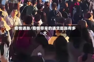 疫情通胀/疫情带来的通货膨胀有多大