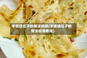 手抓饼坯子的做法视频(手抓饼坯子的做法视频教程)