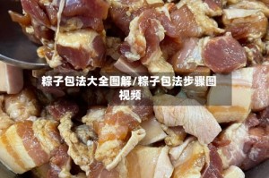 粽子包法大全图解/粽子包法步骤图 视频