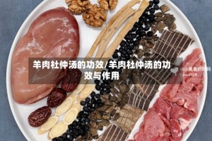 羊肉杜仲汤的功效/羊肉杜仲汤的功效与作用