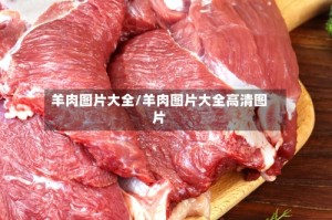 羊肉图片大全/羊肉图片大全高清图片