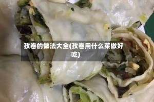 孜卷的做法大全(孜卷用什么菜做好吃)
