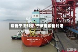 疫情宁波封港/宁波港疫情封港