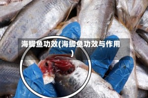 海鲫鱼功效(海鲫鱼功效与作用)