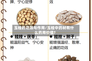 玉桂的功效与作用/玉桂中药材有什么药用价值?