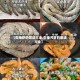 【生抽虾的做法大全,生抽河虾的做法大全】
