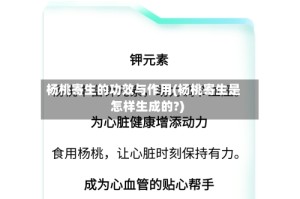 杨桃寄生的功效与作用(杨桃寄生是怎样生成的?)