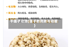 干莲子功效(莲子的药效与功能)