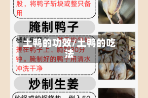 土鸭的功效/土鸭的吃法