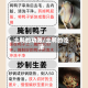 土鸭的功效/土鸭的吃法