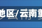云南疫情重点地区/云南重点防疫地区