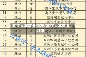 武汉大学就业情况/武汉大学就业状况