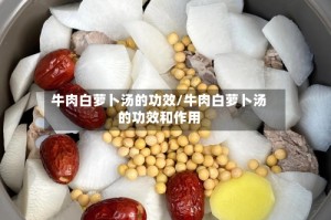 牛肉白萝卜汤的功效/牛肉白萝卜汤的功效和作用
