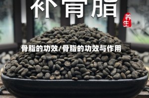 骨脂的功效/骨脂的功效与作用
