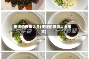 皮蛋的做法大全(皮蛋的做法大全家常)