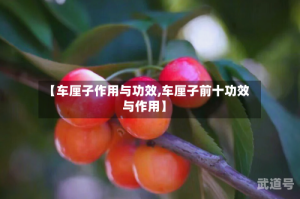 【车厘子作用与功效,车厘子前十功效与作用】