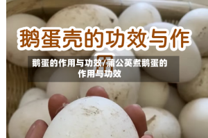 鹅蛋的作用与功效/蒲公英煮鹅蛋的作用与功效