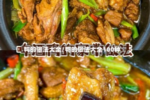 鸭的做法大全/鸭的做法大全100种