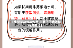 【牛蒡茶功效与作用,牛蒡子的功效与作用图片】