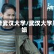 周倩武汉大学/武汉大学周娟
