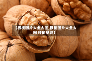 【核桃图片大全大图,核桃图片大全大图 种植基地】