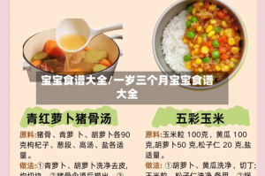 宝宝食谱大全/一岁三个月宝宝食谱大全