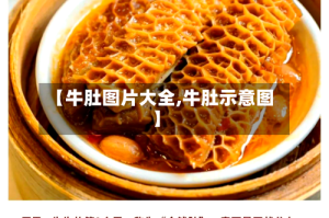 【牛肚图片大全,牛肚示意图】
