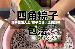 粽子包法大全/粽子包法大全视频教程