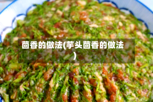 茴香的做法(芋头茴香的做法)