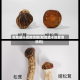 松茸晒干后的功效(松茸晒干前要清洗吗)