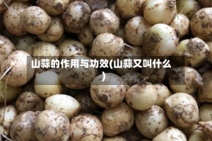 山蒜的作用与功效(山蒜又叫什么)