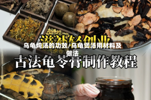 乌龟炖汤的功效/乌龟煲汤用材料及做法