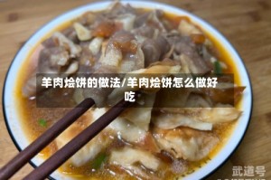羊肉烩饼的做法/羊肉烩饼怎么做好吃