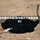 鸵鸟图片大全(鸵鸟图片大全真实照片)