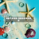 海星干的功效/海星的功效与禁忌