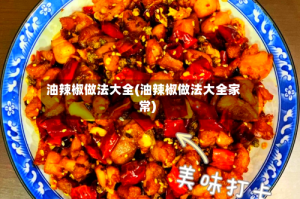 油辣椒做法大全(油辣椒做法大全家常)