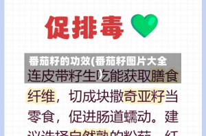 番茄籽的功效(番茄籽图片大全)