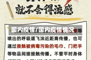 国内疫情/国内疫情情况