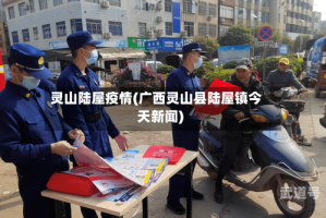 灵山陆屋疫情(广西灵山县陆屋镇今天新闻)