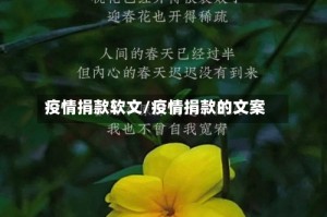疫情捐款软文/疫情捐款的文案