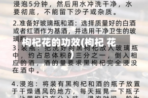 枸杞花的功效(枸杞 花)