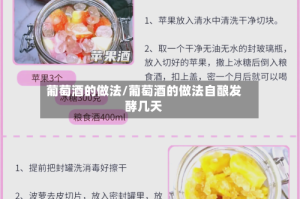 葡萄酒的做法/葡萄酒的做法自酿发酵几天