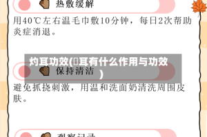 灼耳功效(釆耳有什么作用与功效)