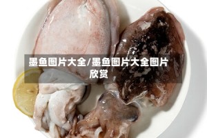 墨鱼图片大全/墨鱼图片大全图片欣赏