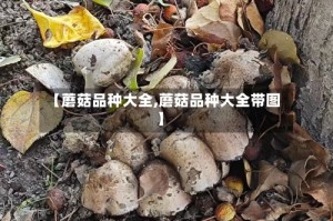 【蘑菇品种大全,蘑菇品种大全带图】